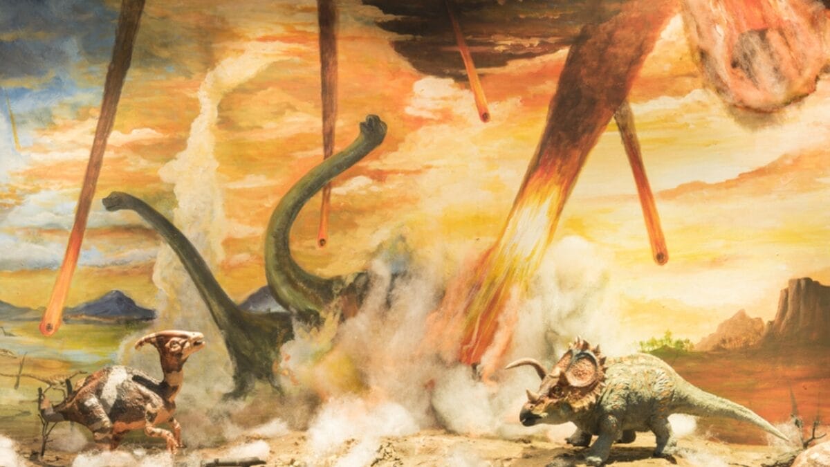 19 Unusual But Fascinating Dinosaur Facts You Probably Never Learned in School 10 19 Unusual But Fascinating Dinosaur Facts You Probably Never Learned in School - asteroid ss244985872