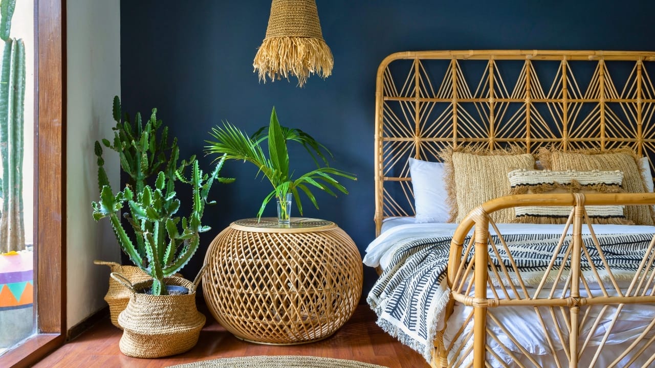 Say Hello to the Tallest Grass in the World 6 Say Hello to the Tallest Grass in the World - bamboo ss1726526740