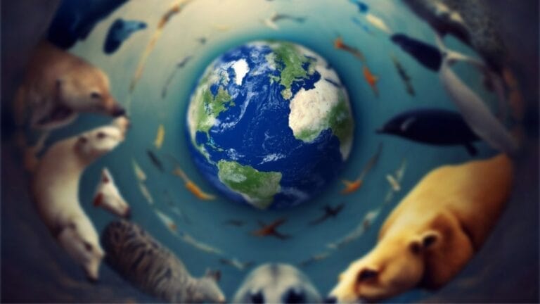 New Study Exposes Surprising Biodiversity Patterns Around the World 2 New Study Exposes Surprising Biodiversity Patterns Around the World - biodiversity ss2261673525