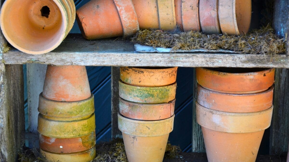 20 Things to Cleanup For Your Garden’s Fresh Start 4 20 Things to Cleanup For Your Garden’s Fresh Start - clay planters dp10793614