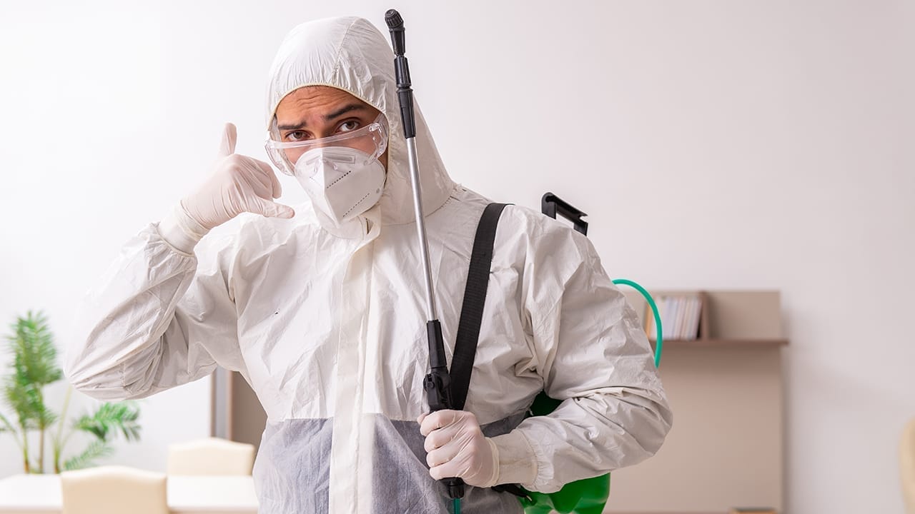 5 Steps to Instantly Get Rid of Drain Flies Permanently 9 5 Steps to Instantly Get Rid of Drain Flies Permanently - cleaner ss1998148955