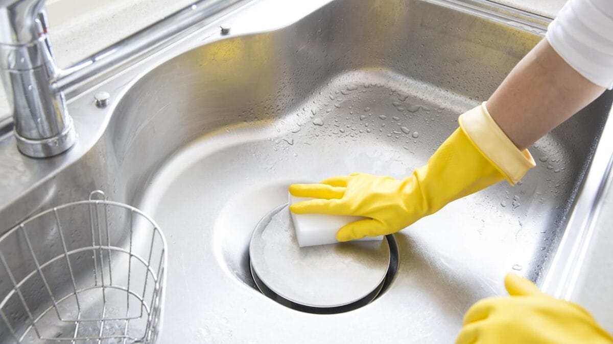 Stop Tossing Those Pistachio Shells... Here's What to Do Instead - cleaning sink ss664538125