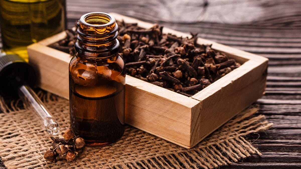 15 Natural Scents to Repel Ants & Keep Your Home Fresh - clove oil ss796682230