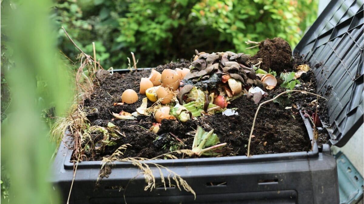18 DIY Chicken Feed Ideas to Boost Egg Nutrition — No Store-Bought Feed Needed - compost pile ss292148792 1