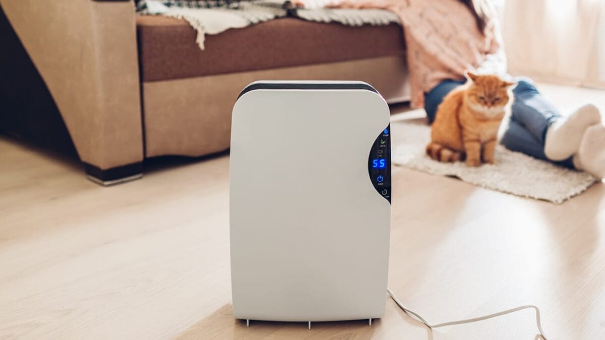 8 Spots to Avoid for Dehumidifiers (and Where to Place Them Instead) 2 8 Spots to Avoid for Dehumidifiers (and Where to Place Them Instead) - dehumidifier ss1248103219