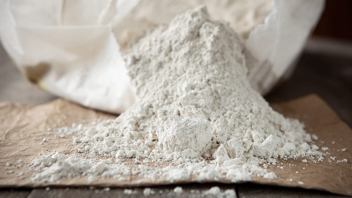 Say Goodbye to Fleas with These 15 Powerful Natural Repellents 14 Say Goodbye to Fleas with These 15 Powerful Natural Repellents - diatomaceous earth ss127899425