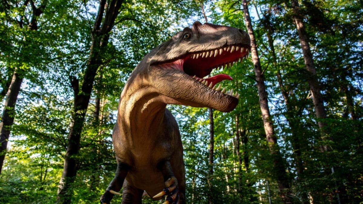 19 Unusual But Fascinating Dinosaur Facts You Probably Never Learned in School 16 19 Unusual But Fascinating Dinosaur Facts You Probably Never Learned in School - dinosaur in forest ss1959457900