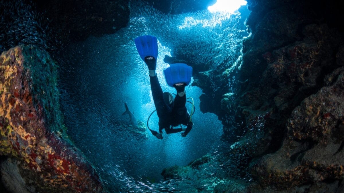 10 Creepy Deep Sea Creatures You Never Knew Existed 11 10 Creepy Deep Sea Creatures You Never Knew Existed - diver explores the cracks ss193894589