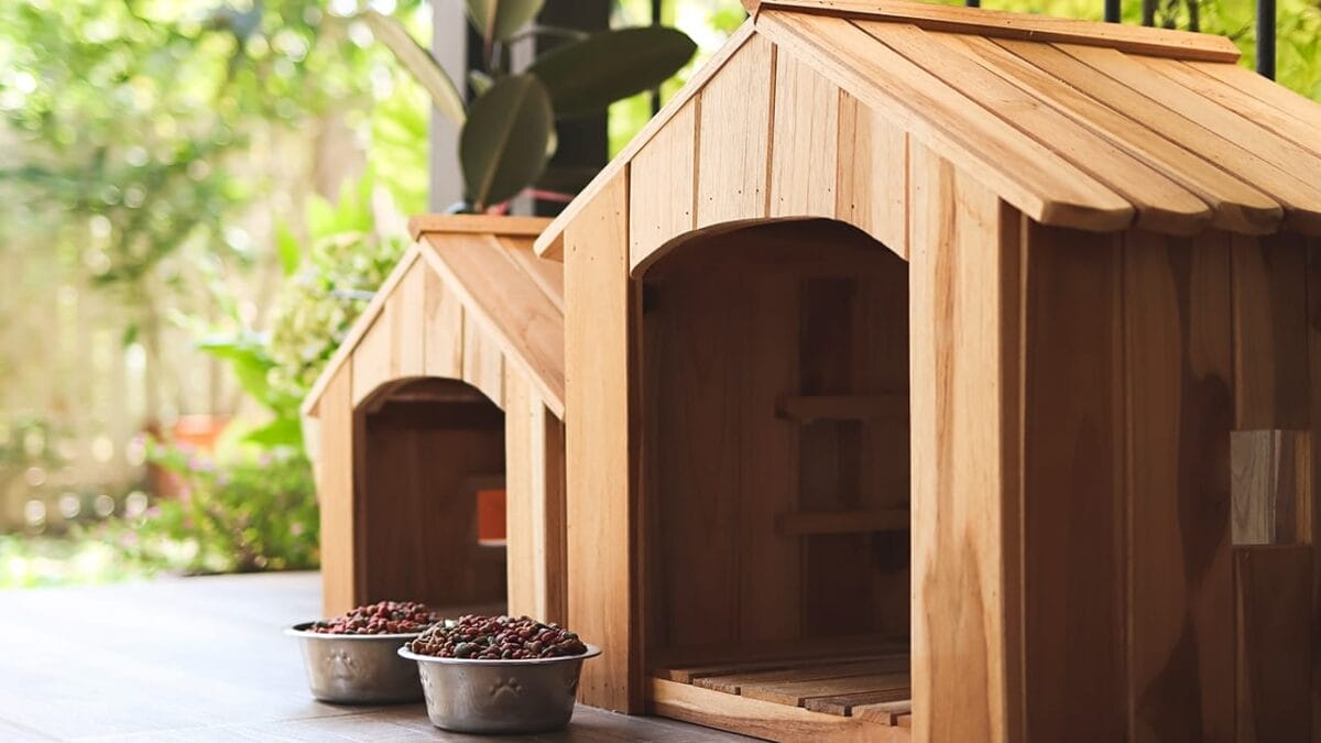 7 Scents That Could Be Luring Snakes Into Your Yard 7 7 Scents That Could Be Luring Snakes Into Your Yard - dog houses and food ss2291944085