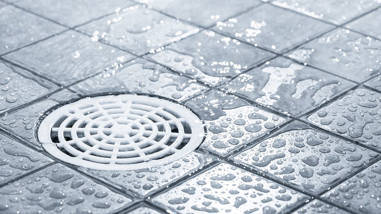 5 Steps to Instantly Get Rid of Drain Flies Permanently 8 5 Steps to Instantly Get Rid of Drain Flies Permanently - drain ss162994757