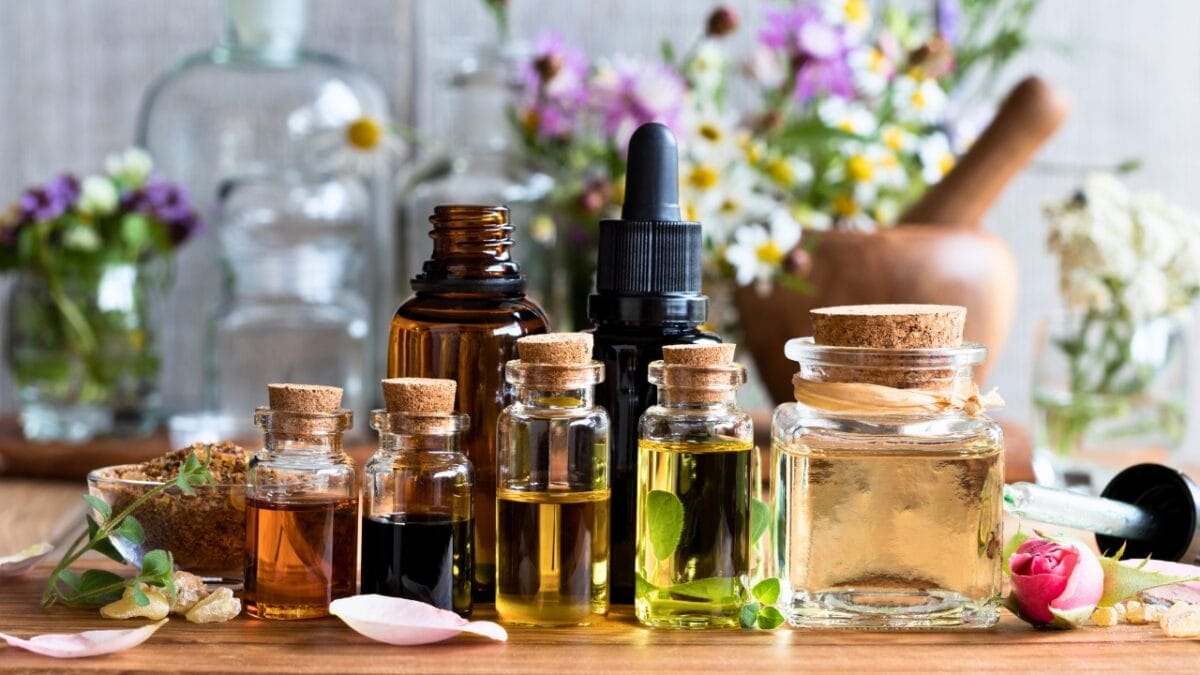 Vanilla is the New Secret Weapon Against Mosquitoes & 4 Backups - essential oils ss682212448
