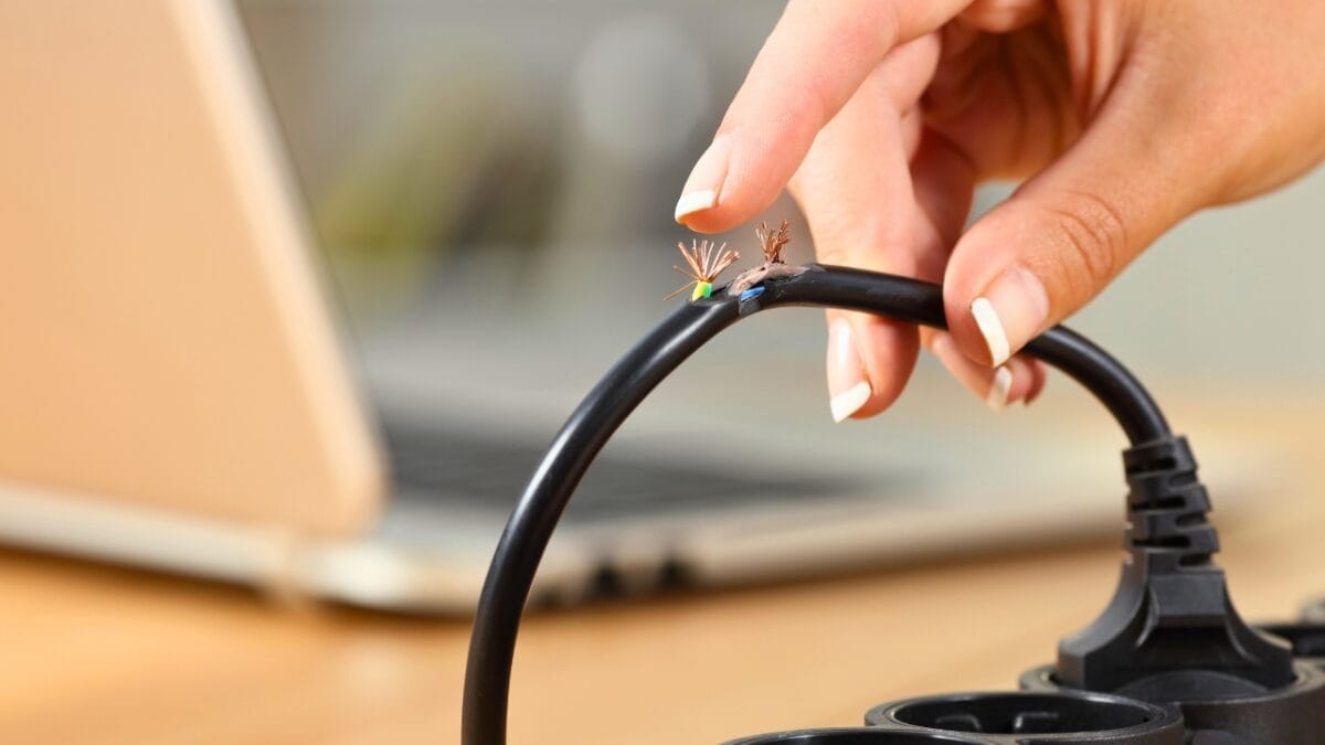 15 Household Hazards You Didn’t Know Could Harm Your Cat 15 15 Household Hazards You Didn’t Know Could Harm Your Cat - extension cord ss1134569603