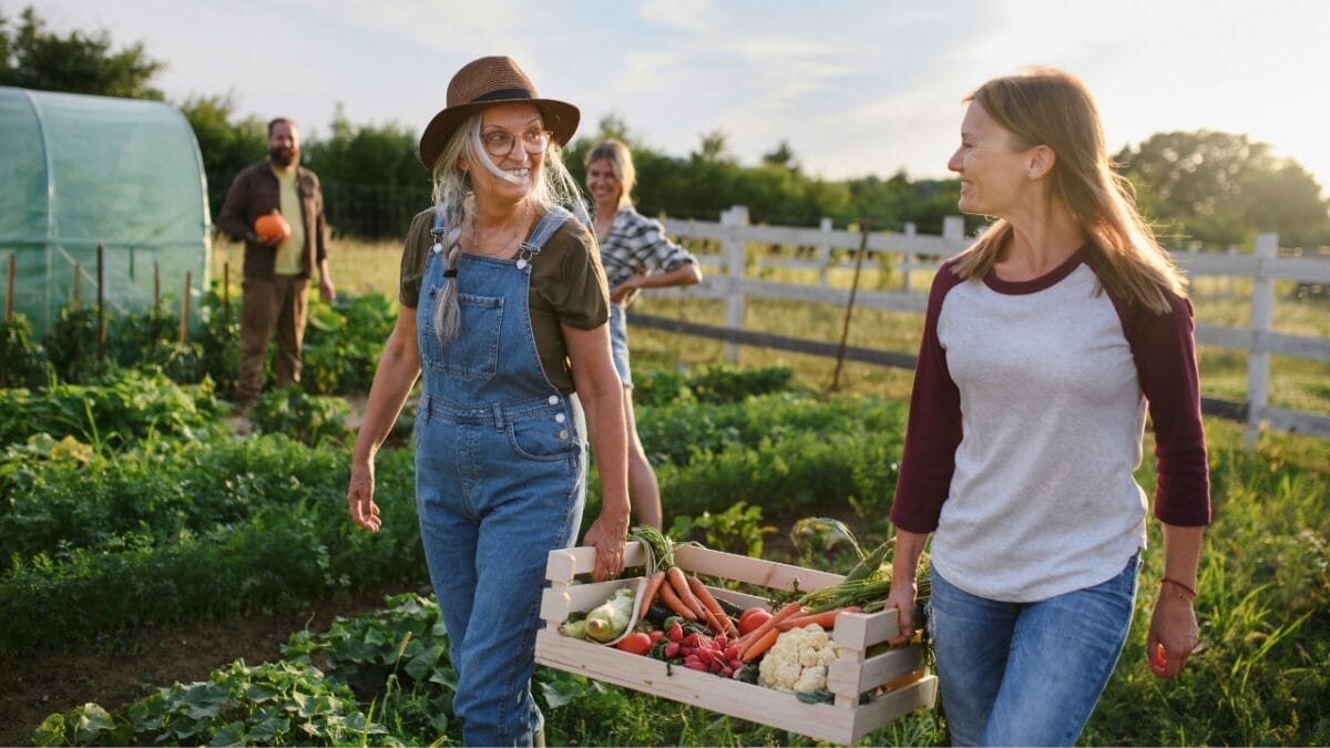 $22M Company Ditches Profits to Give Away Garden Seeds & 9 More Ways to Score Free Seeds 5 $22M Company Ditches Profits to Give Away Garden Seeds & 9 More Ways to Score Free Seeds - gardeners ss2059509335