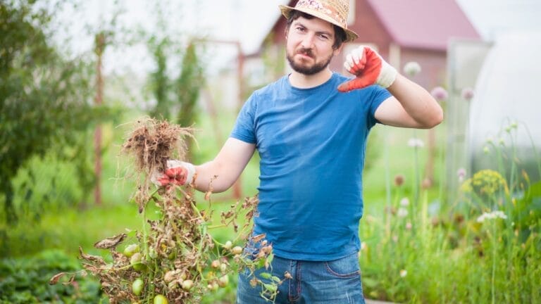 7 Things I Wish I Knew Before Starting My Gardening Journey 2 7 Things I Wish I Knew Before Starting My Gardening Journey - gardening ss1361767937