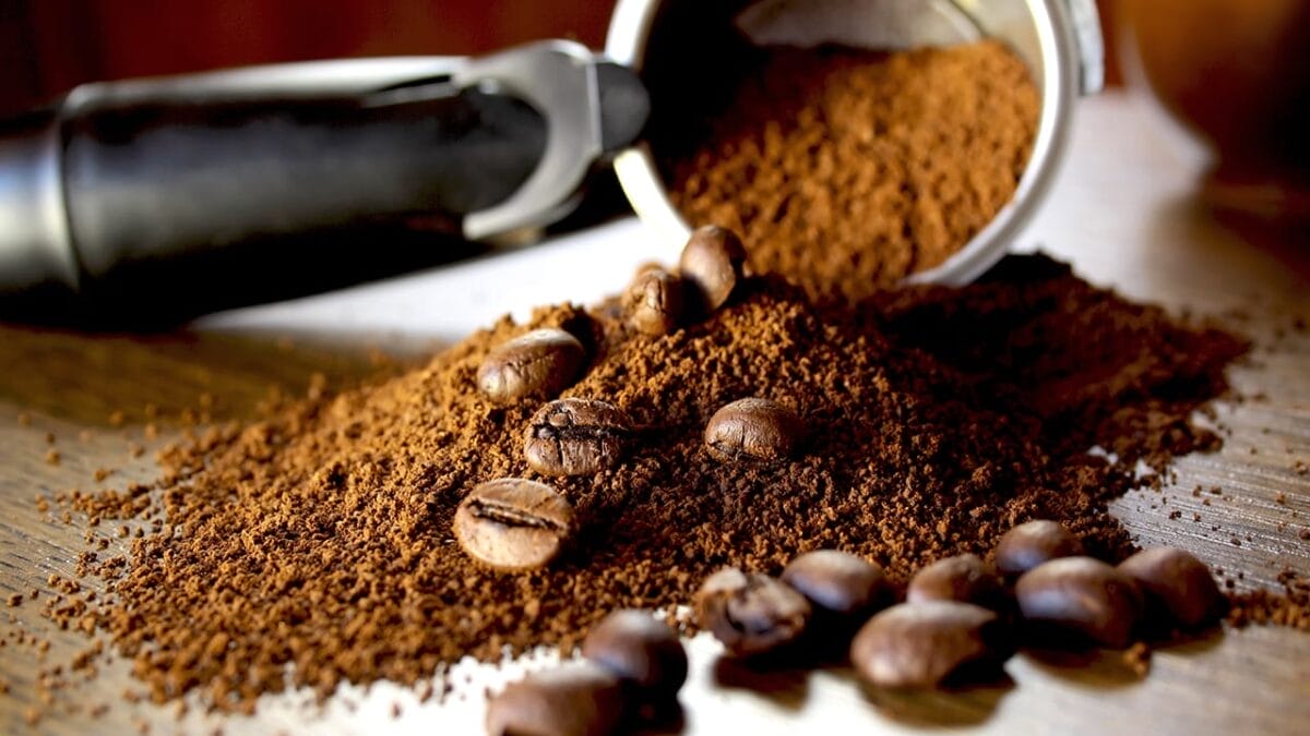 9 Foods that Could Land Your Cat in the ER - ground coffee ss386243695