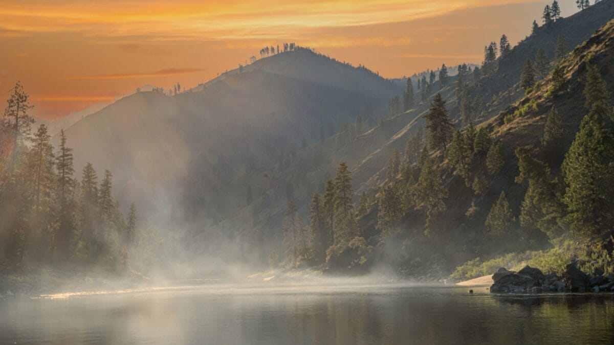 14 States Where Mountain Lions Prowl 11 14 States Where Mountain Lions Prowl - idaho ss2009266283