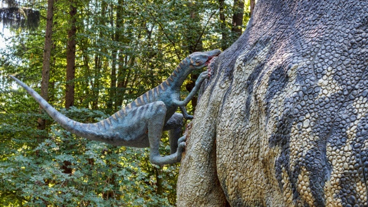 19 Unusual But Fascinating Dinosaur Facts You Probably Never Learned in School 19 19 Unusual But Fascinating Dinosaur Facts You Probably Never Learned in School - intelligence ss1037530195