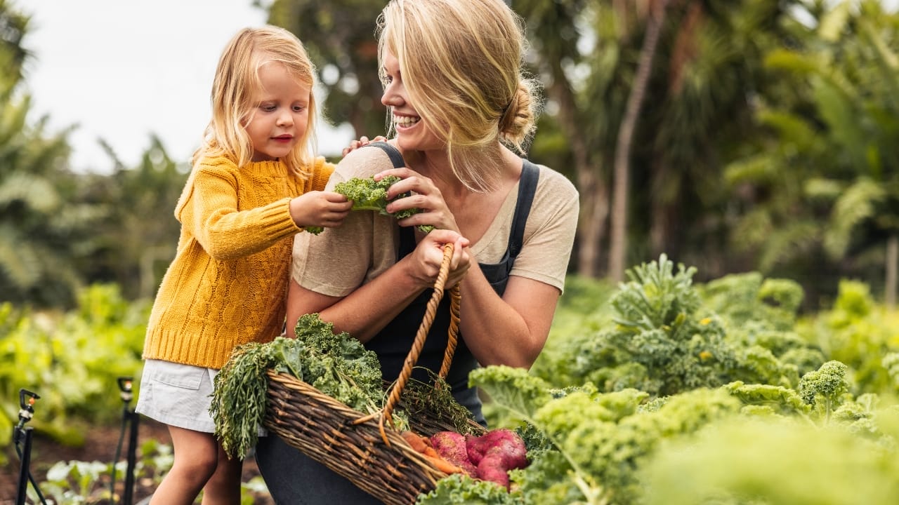 The Secrets of Kale Companion Planting: Boost Your Garden's Health & Harvest 6 The Secrets of Kale Companion Planting: Boost Your Garden's Health & Harvest - kale plants ss2131577093