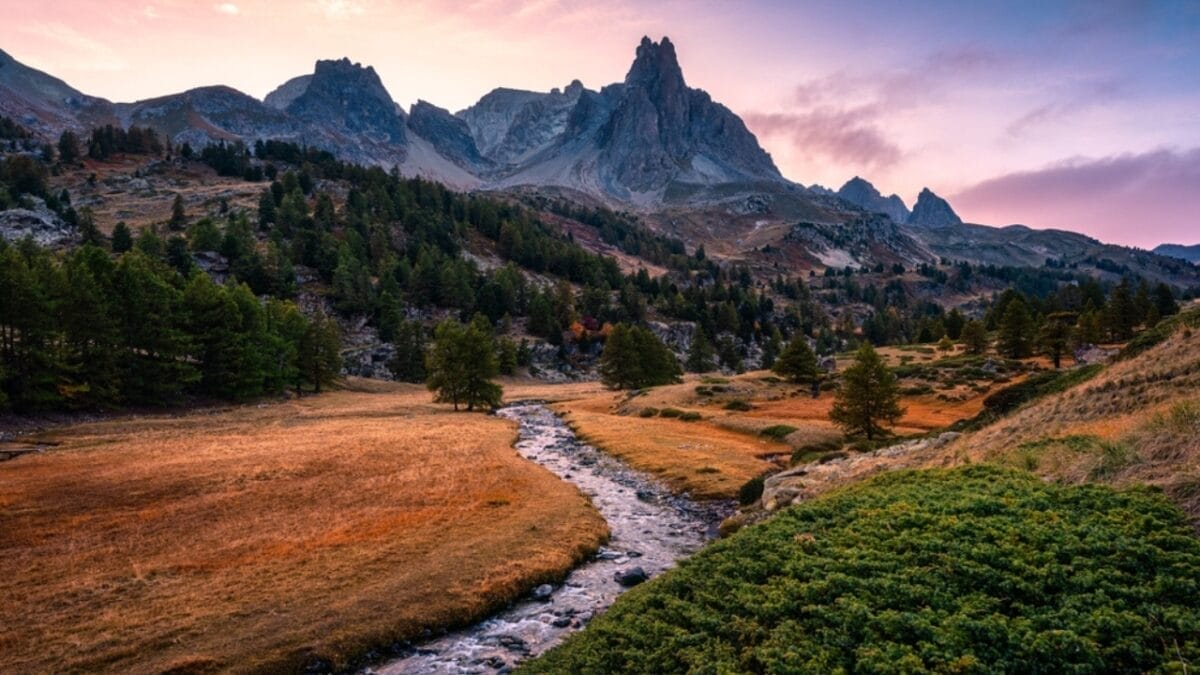 20 Top Locations to Spot Foxes Across the USA 4 20 Top Locations to Spot Foxes Across the USA - maine ss2377256355