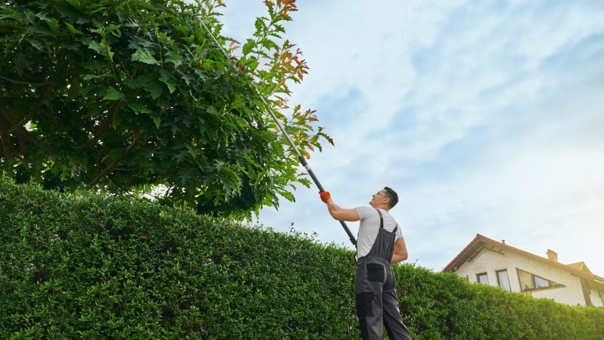20 Things to Cleanup For Your Garden’s Fresh Start 13 20 Things to Cleanup For Your Garden’s Fresh Start - man cutting tree branches ss2150434447