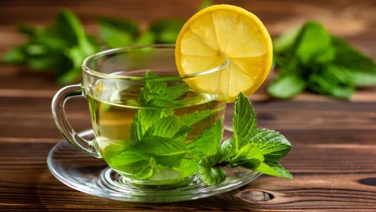 How to Grow & Dry Your Own Mint for Fresh Homemade Tea 3 How to Grow & Dry Your Own Mint for Fresh Homemade Tea - mint tea ss2175486729