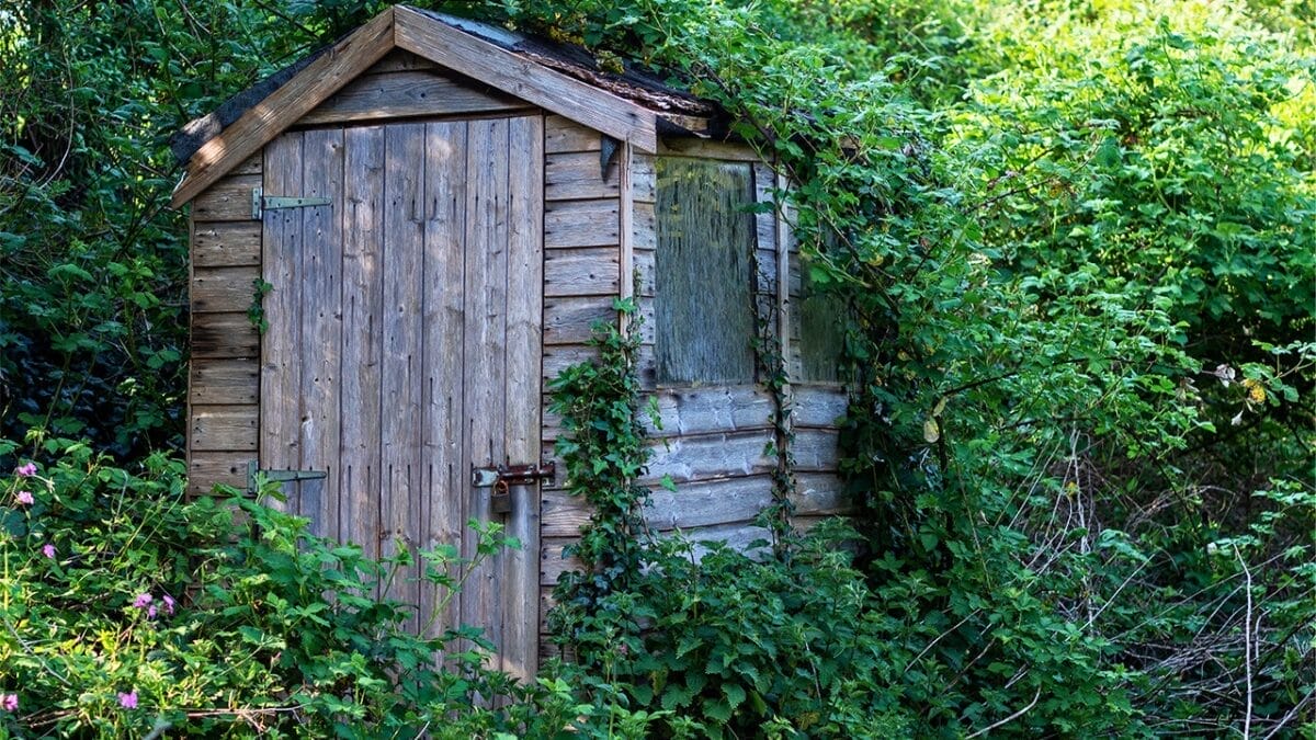 20 Things to Cleanup For Your Garden’s Fresh Start 11 20 Things to Cleanup For Your Garden’s Fresh Start - old garden shed ss1746212366