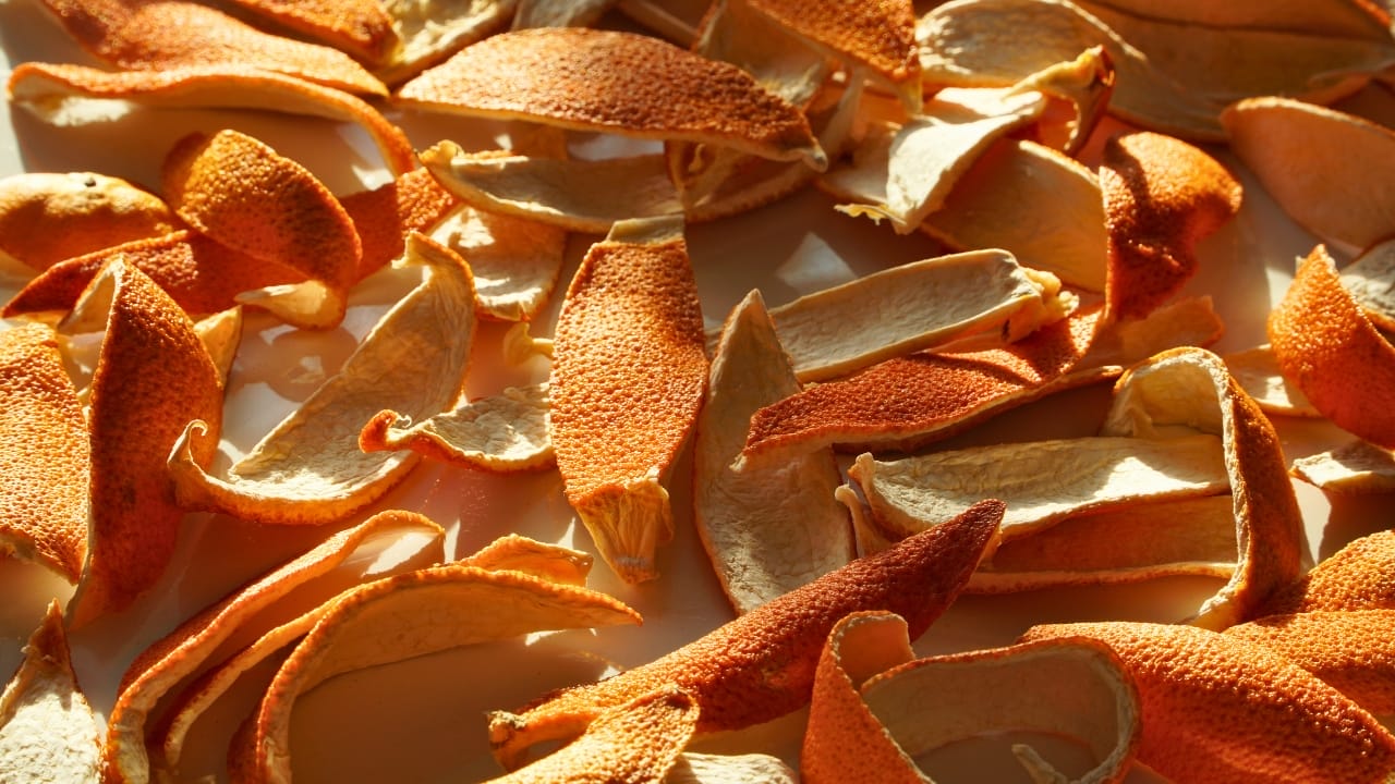 With Up to 128 Spider Species in Your Home, Use These 12 Natural Ingredients to Keep Them Out - orange ss1889214835