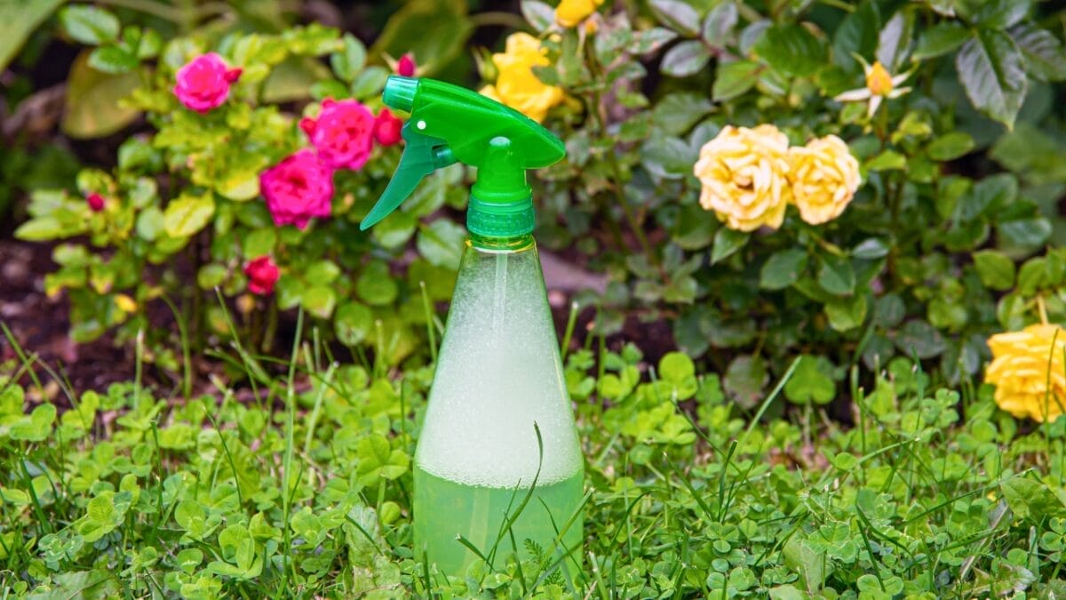 Get Rid of Weeds with Pet-Safe Ingredients You Already Own 4 Get Rid of Weeds with Pet-Safe Ingredients You Already Own - pest spray ss2148126093