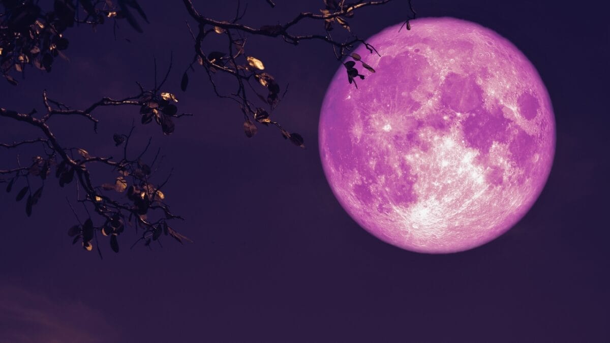 8 Things About Tonights Pink Moon You Probably Didn't Know 4 8 Things About Tonights Pink Moon You Probably Didn't Know - pink moon ss1496555438 2