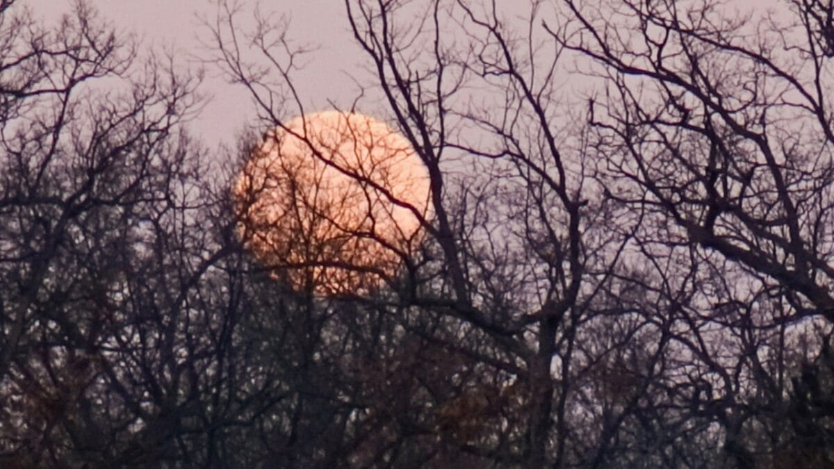 8 Things About Tonights Pink Moon You Probably Didn't Know 6 8 Things About Tonights Pink Moon You Probably Didn't Know - pink moon ss1497748334