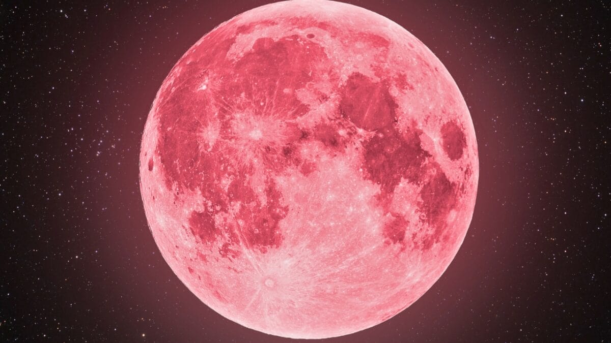 8 Things About Tonights Pink Moon You Probably Didn't Know - pink moon ss1696909426