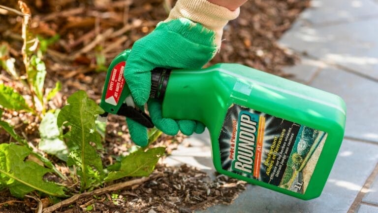 Bayer Faces Mounting Pressure Over Roundup Cancer Lawsuits 7 Bayer Faces Mounting Pressure Over Roundup Cancer Lawsuits - roundup dp208864030