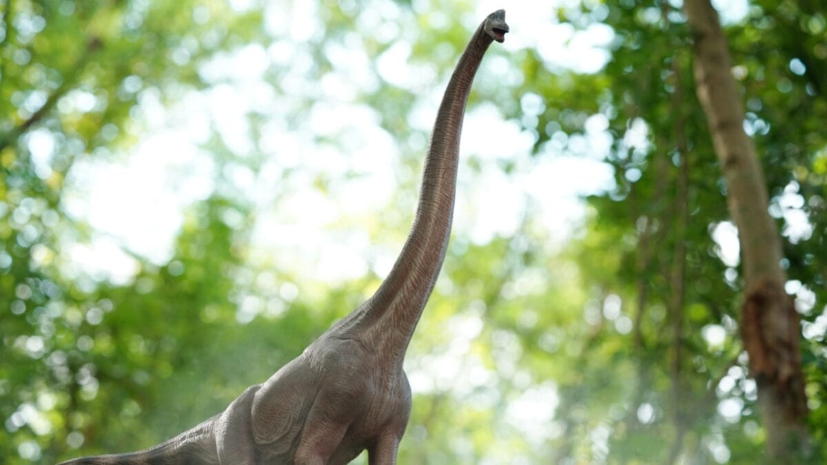 19 Unusual But Fascinating Dinosaur Facts You Probably Never Learned in School 20 19 Unusual But Fascinating Dinosaur Facts You Probably Never Learned in School - sauropods ss1800965125