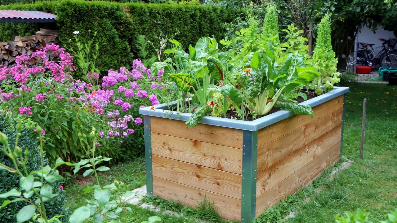 7 Things I Wish I Knew Before Starting My Gardening Journey 2 7 Things I Wish I Knew Before Starting My Gardening Journey - small raised bed garden ss1713807271