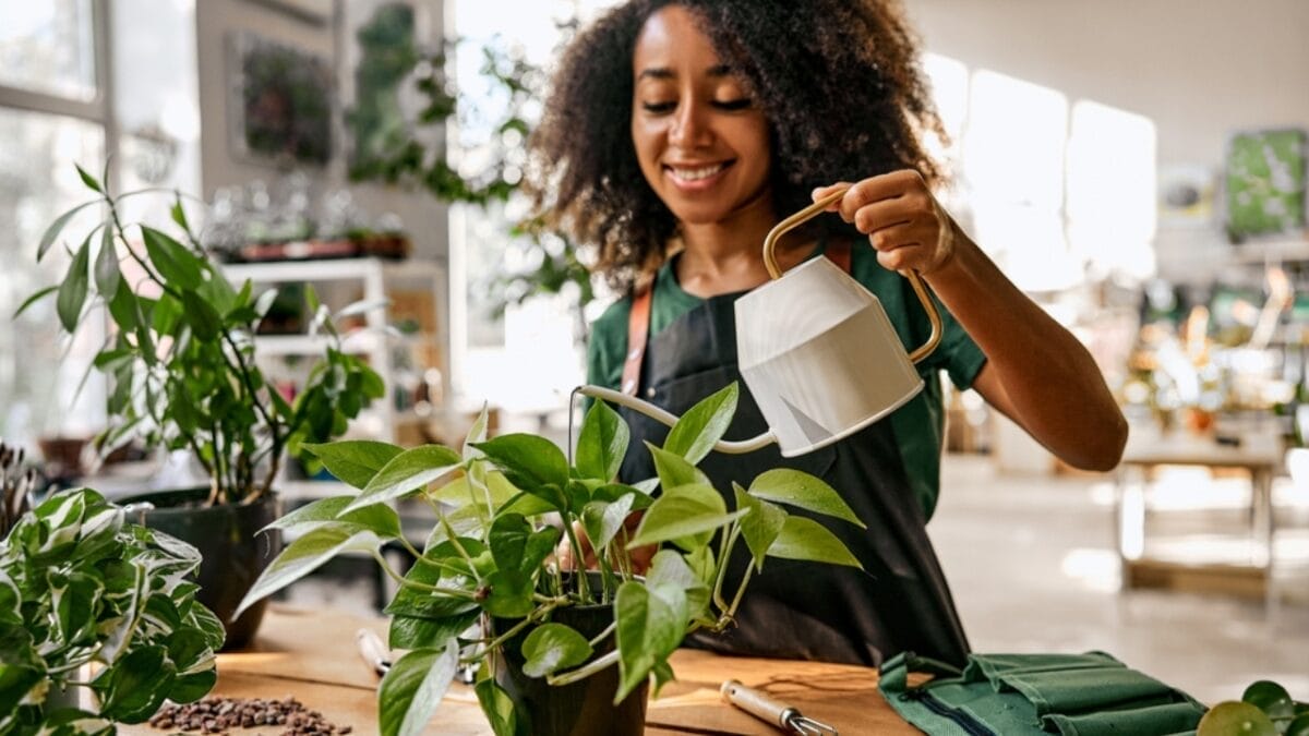 10 Tips for Beginners: Container Gardening - small business owner watering flower pot ss2409541489