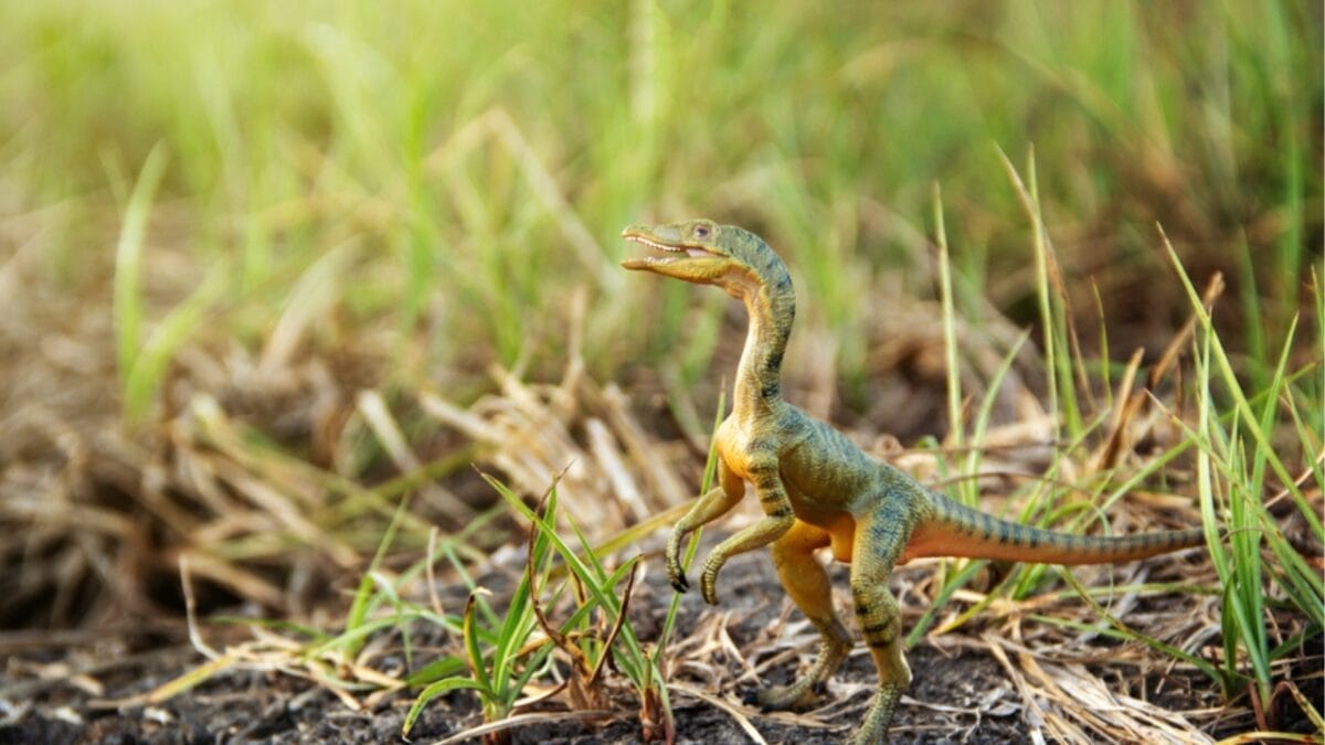 19 Unusual But Fascinating Dinosaur Facts You Probably Never Learned in School 3 19 Unusual But Fascinating Dinosaur Facts You Probably Never Learned in School - small dinosaur ss1332687842