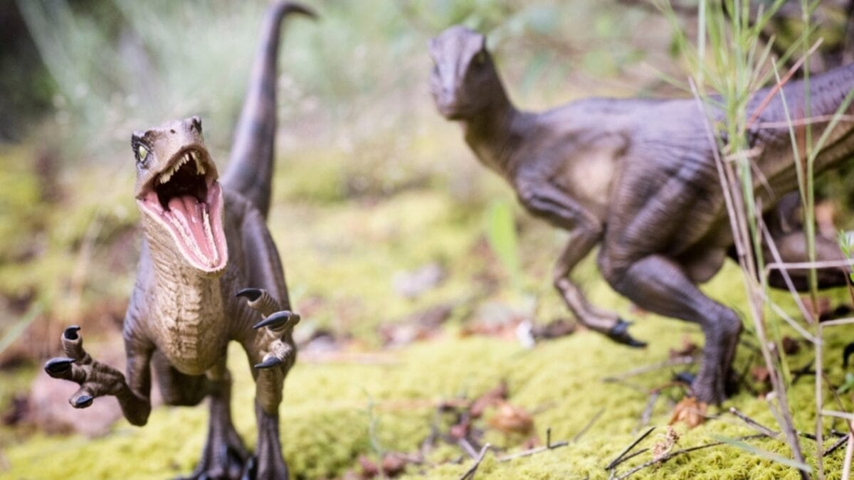 19 Unusual But Fascinating Dinosaur Facts You Probably Never Learned in School 7 19 Unusual But Fascinating Dinosaur Facts You Probably Never Learned in School - social behavior ss2356029561