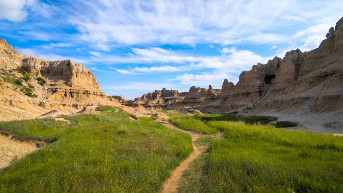 14 States Where Mountain Lions Prowl 13 14 States Where Mountain Lions Prowl - south dakota ss2368907855