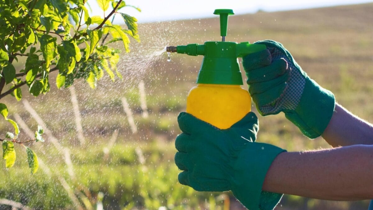 15 Murphy’s Oil Soap Hacks That Will Make Your Life Easier - spraying pesticide ss667654081 2