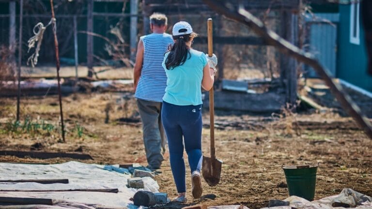 5 Cool-Season Crops to Plant Now in the Midwest & 6 Mistakes to Avoid 10 5 Cool-Season Crops to Plant Now in the Midwest & 6 Mistakes to Avoid - spring garden ss2122176044