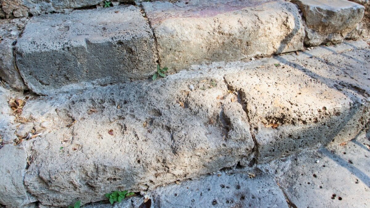 20 Things to Cleanup For Your Garden’s Fresh Start 7 20 Things to Cleanup For Your Garden’s Fresh Start - steps concrete wall dp520863492