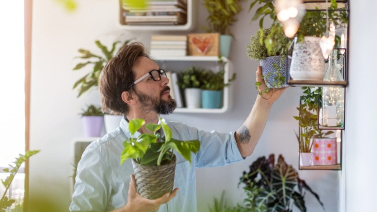 10 Tips for Beginners: Container Gardening - taking care of potted plants at home ss1508930342