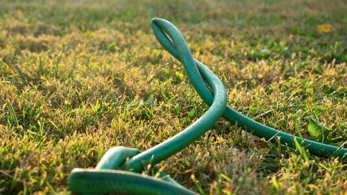 20 Things to Cleanup For Your Garden’s Fresh Start 18 20 Things to Cleanup For Your Garden’s Fresh Start - tangled garden hose ss1842864418