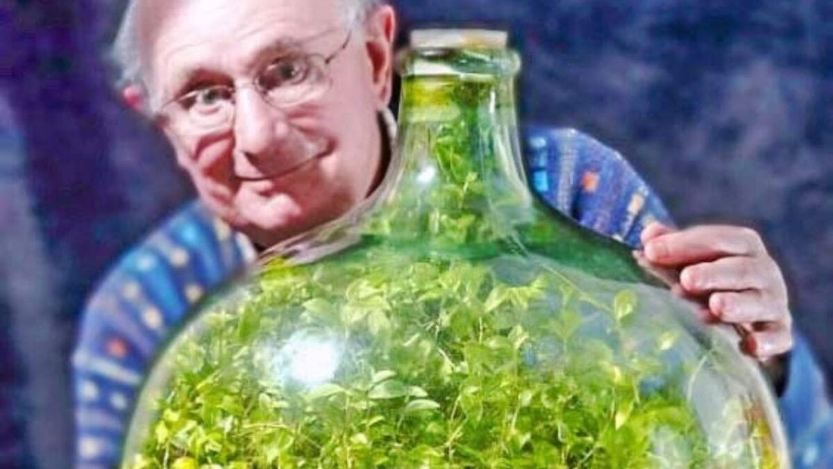 Decade-Long Wait Over: The Rare 'Sapphire Tower' Plant Blooms Again 5 Decade-Long Wait Over: The Rare 'Sapphire Tower' Plant Blooms Again - terrarium