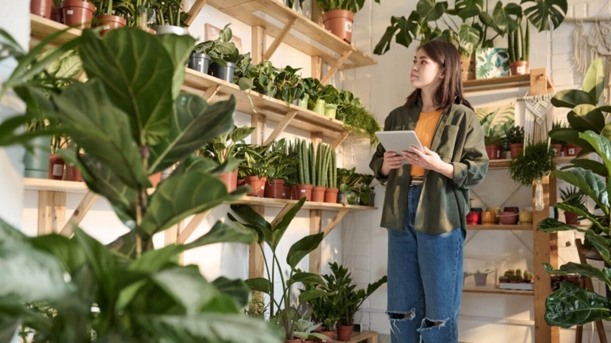 10 Tips for Beginners: Container Gardening - woman researching for plants ss2410838649