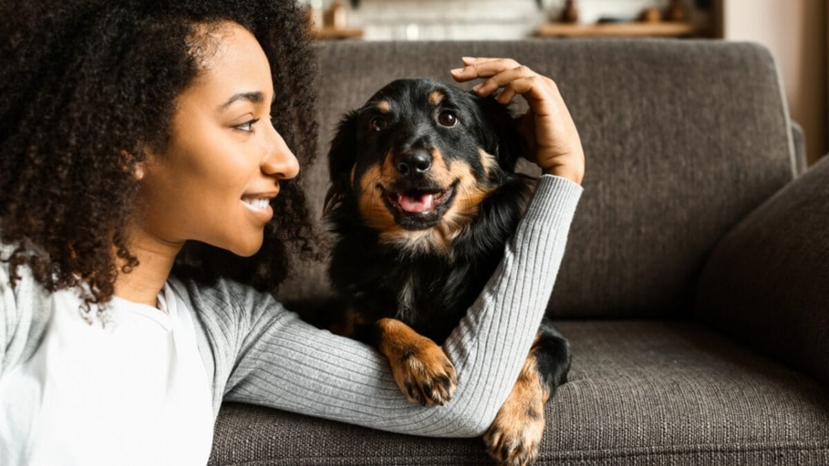 15 Best Dogs for Small Apartments or Small Spaces 17 15 Best Dogs for Small Apartments or Small Spaces - American woman with cute dog ss1359893087