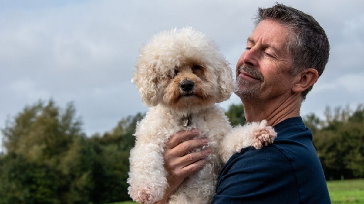 These 17 Dog Breeds are Perfect for Snuggling & Emotional Support - Bichon Frise dog in the park ss2377554383