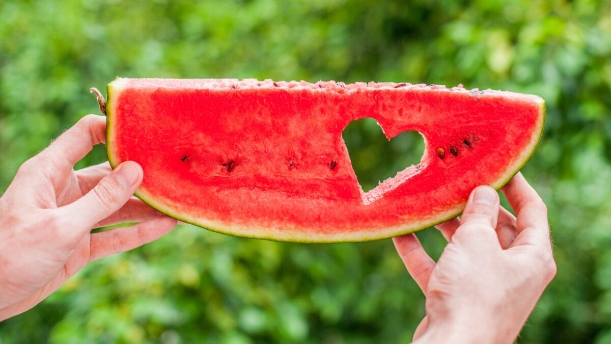 7 Nutritional Benefits of Watermelon Rinds That Will Make You Think Twice Before Throwing Them Away 3 7 Nutritional Benefits of Watermelon Rinds That Will Make You Think Twice Before Throwing Them Away - Boost Heart Health dp149158714