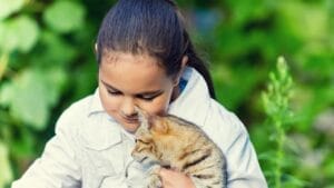 Cat’s Intuition: Offering Comfort & Companionship in Times of Loss 1 Cat’s Intuition: Offering Comfort & Companionship in Times of Loss - Cat companionship dp117742272