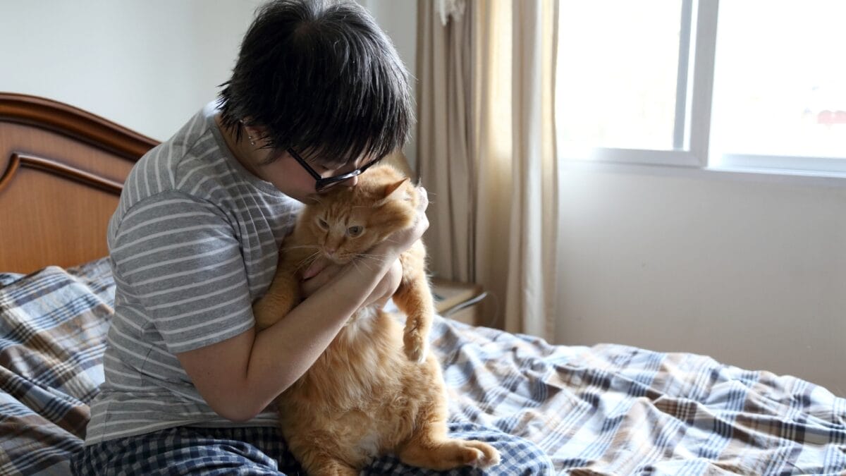 Cat’s Intuition: Offering Comfort & Companionship in Times of Loss 3 Cat’s Intuition: Offering Comfort & Companionship in Times of Loss - Cat emotion dp507619986